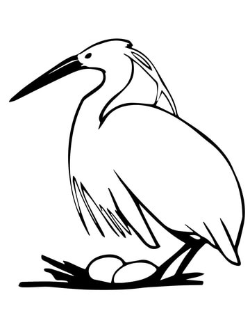 Heron Laying Egg Coloring Page